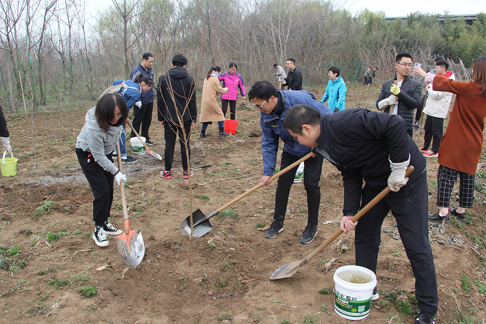 2021植树运动